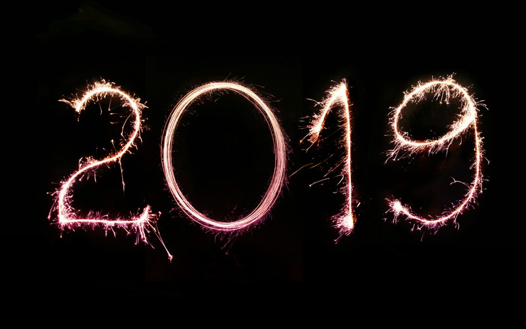2019: My high’s, low’s and everything in between