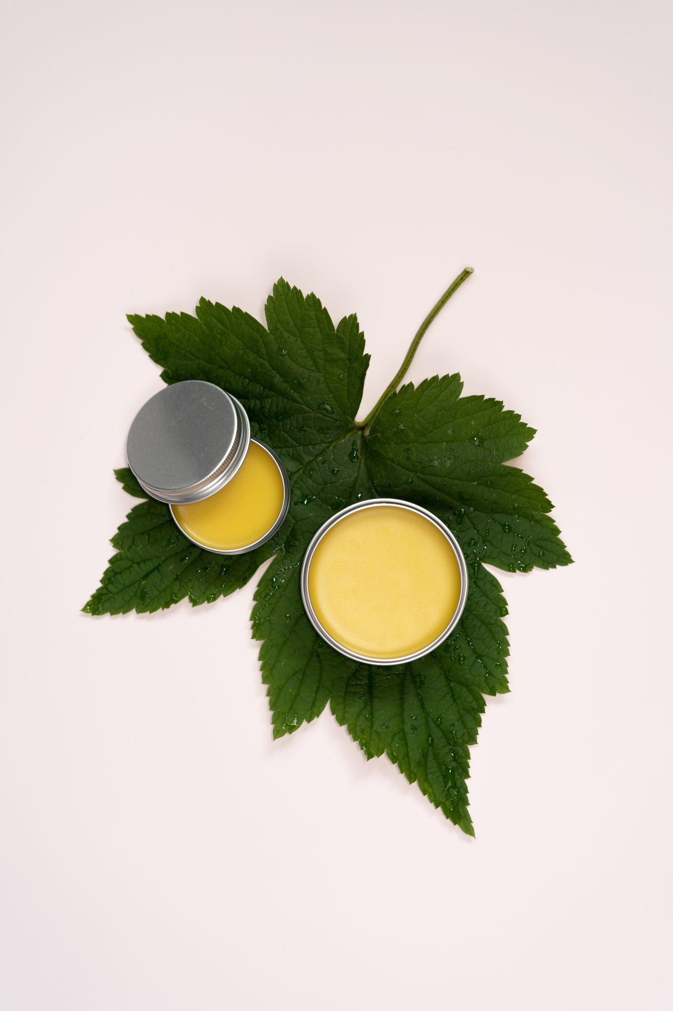 studio product photography of nettle salve balm on a big nettle leaf on a pale pink backdrop